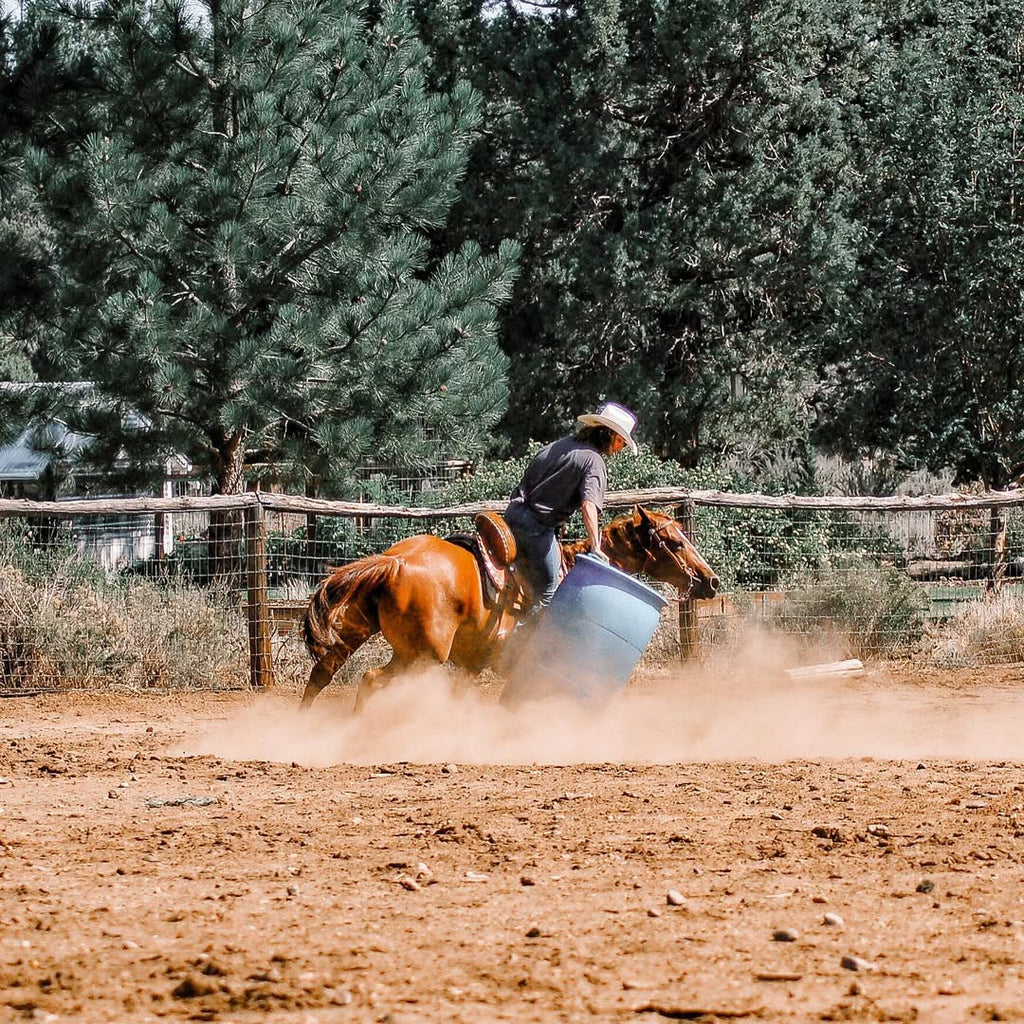 Top 5 Benefits of Choosing a Quality Barrel Racing Saddle