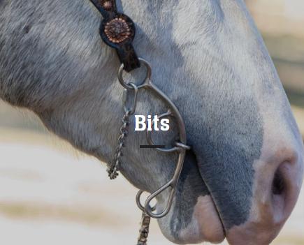 HORSE BITS & ACCESSORIES