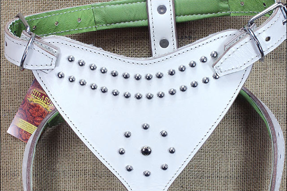Large Leather Dog Harness Padded Genuine White Hilason