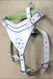 Large Leather Dog Harness Padded Genuine White Hilason