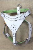 Large Leather Dog Harness Padded Genuine White Hilason
