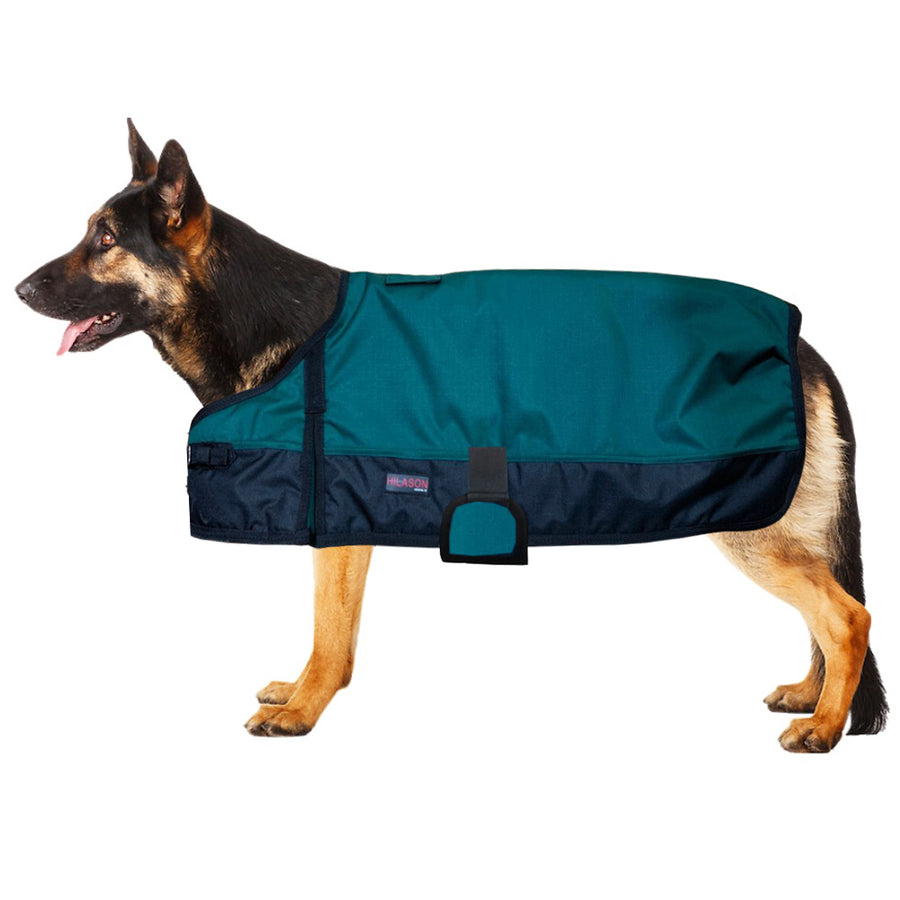 XS Hilason 200 gsm 600D Winter Turnout Waterproof Dog Blanket Hunter Green - Hilason