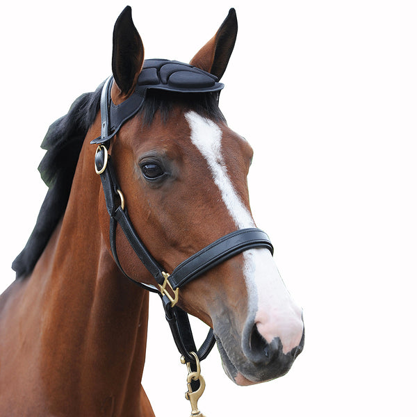 Woof Wear Horse Head Bumper Comfortable Black Hilason Saddles and Tack