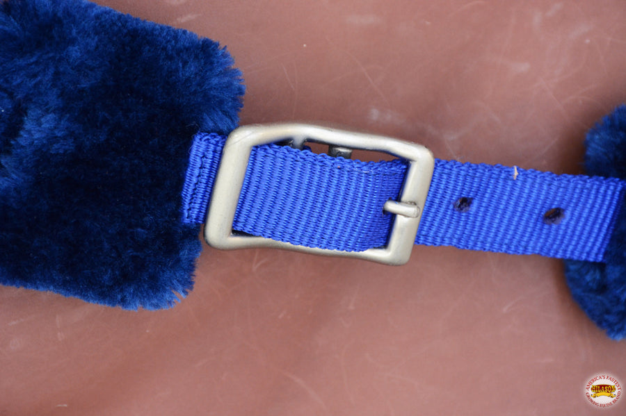 Hilason Comfort Fleece Nylon Horse Halter Royal Blue