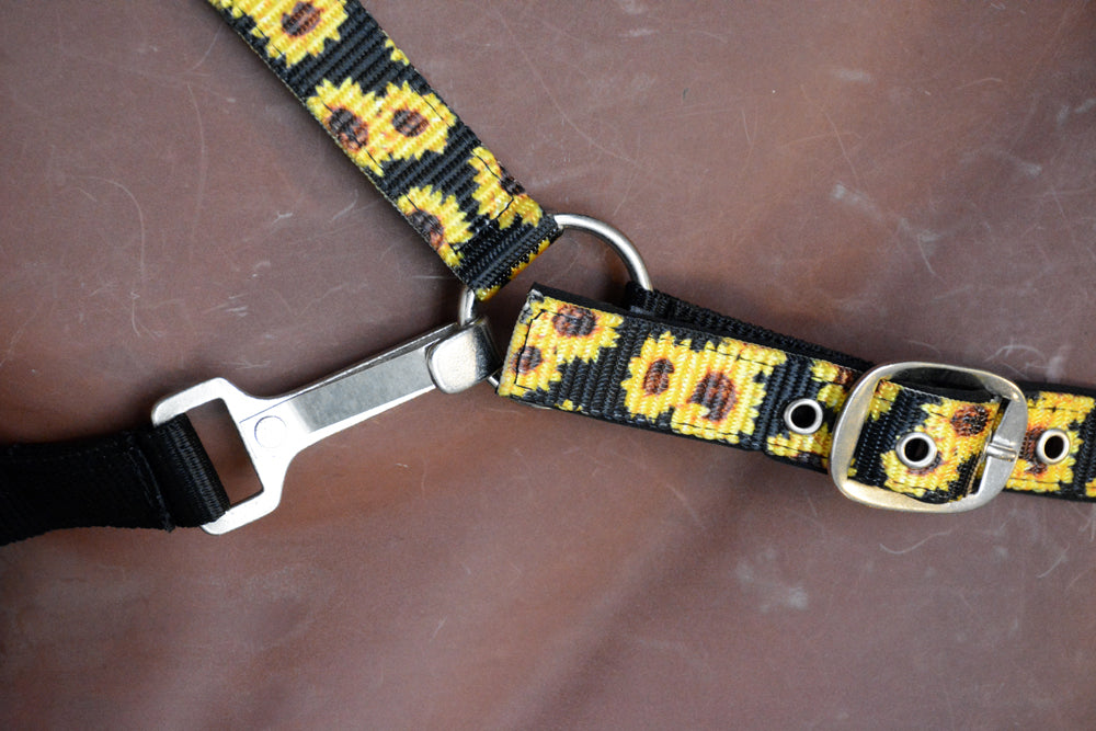 Hilason 1 Inch Fully Adjustable Halter US Flag Polyester