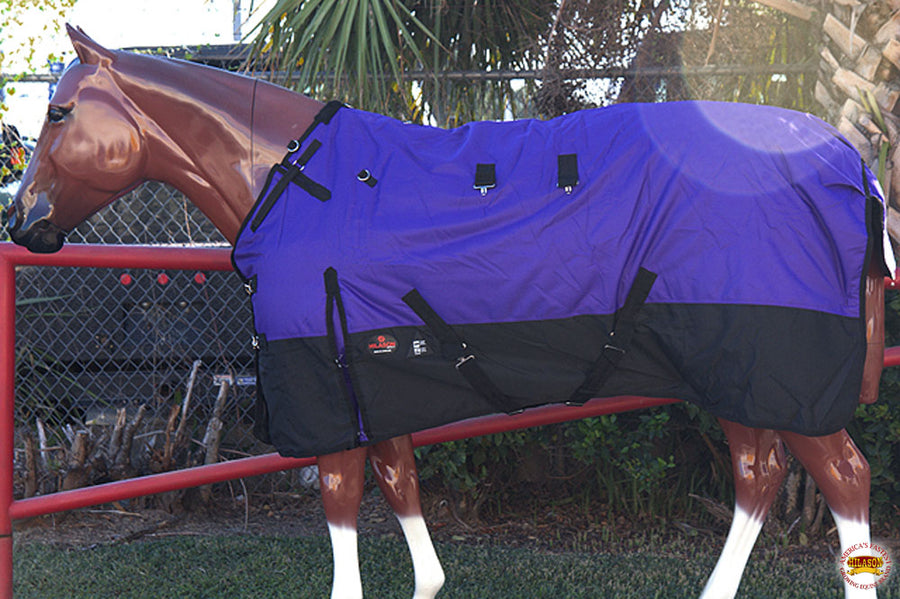 HILASON 600D Winter Waterproof Poly Miniature Horse Blanket Purple | Turnout Blankets for