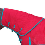 Hilason 600D Winter Waterproof Poly Turnout Horse Hood Neck Cover