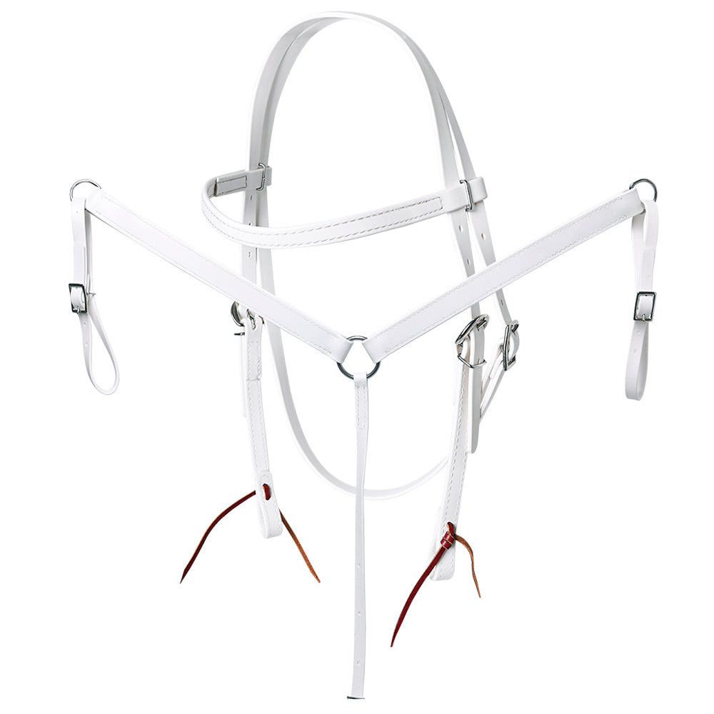 HILASON Western Horse Biothane Leather Headstall & Breast Collar Set