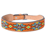 Hilason Western Style Heavy Duty Beaded American Leather Pet Dog Collar