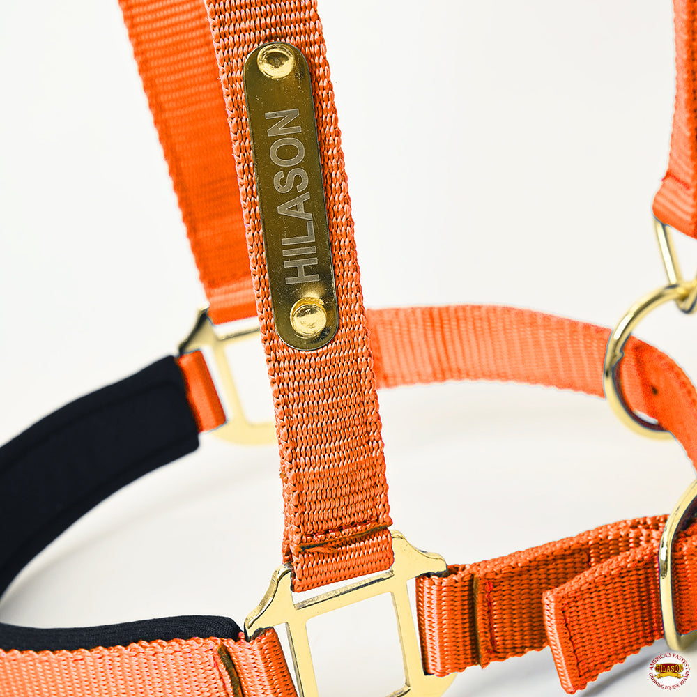 Medium HILASON Western Horse Top Grade Nylon Comfortable & Flexible Halter