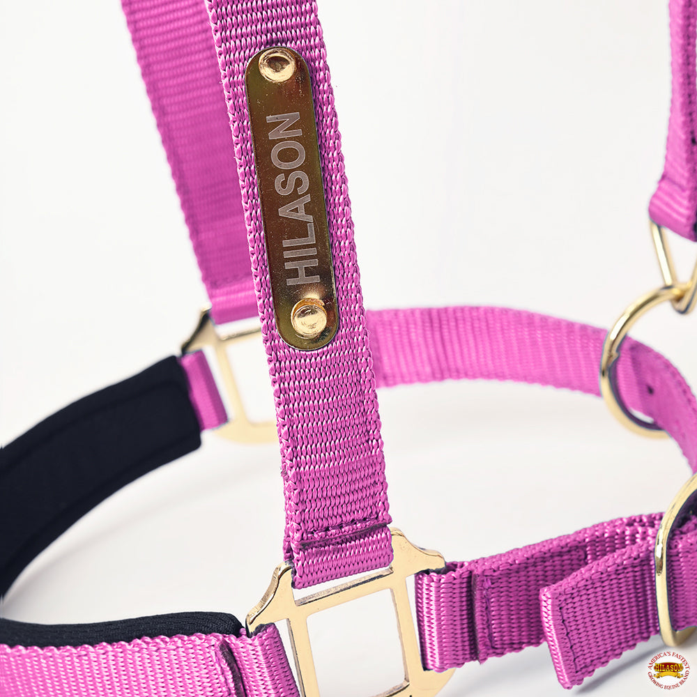Medium HILASON Western Horse Top Grade Nylon Comfortable & Flexible Halter