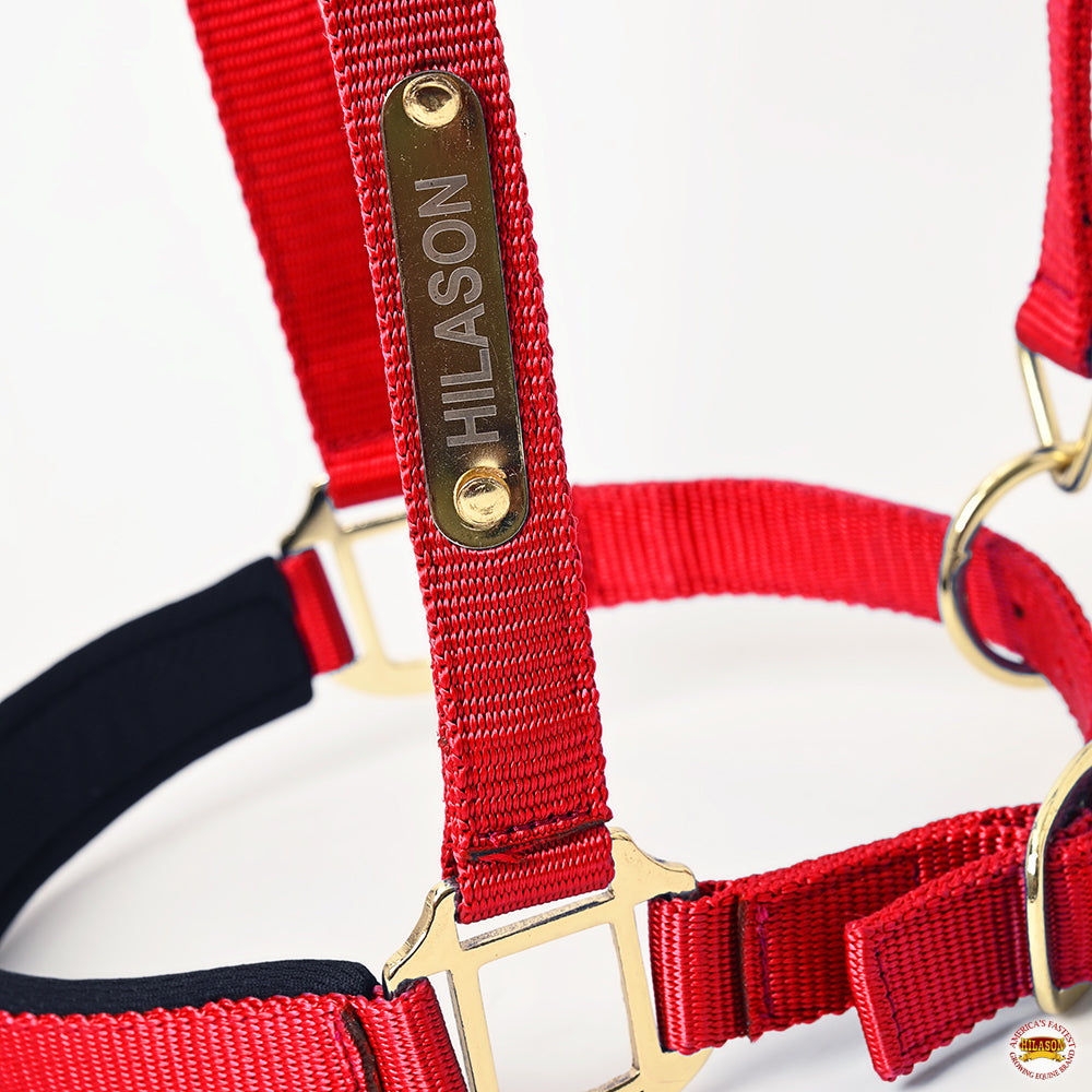 Medium HILASON Western Horse Top Grade Nylon Comfortable & Flexible Halter