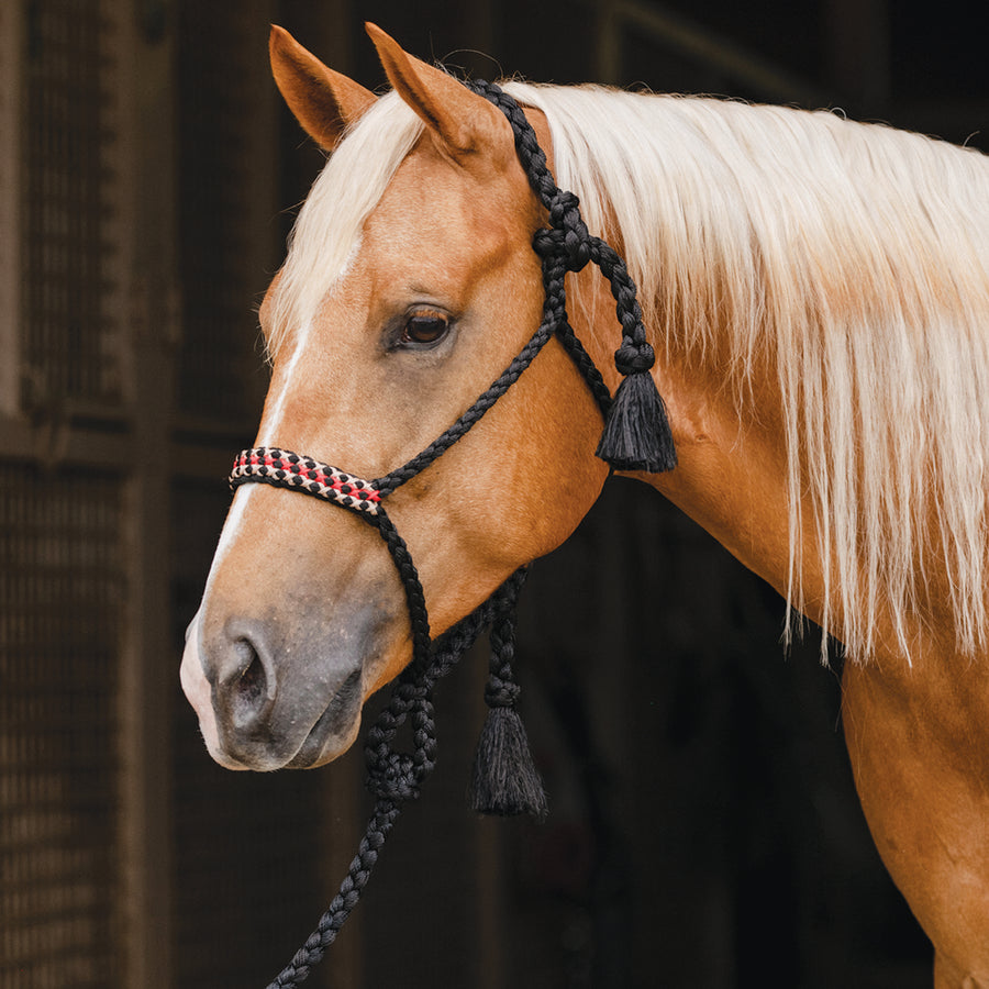 Professional's Choice H. Cowboy Braided Woven Halter Black Tan – by Hilason – Cowboy and equestrian accessories