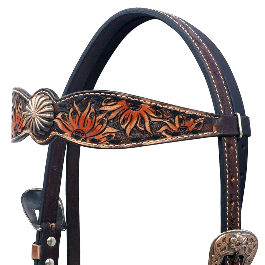Hilason Horse Floral Hand Painted American Leather Breast Collar Headstall Concho Dark Brown