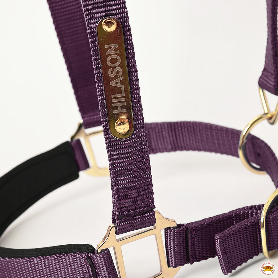 HILASON Western Safety Horse Halter Comfortable and Flexible | Nylon Halters Adjustable Cute