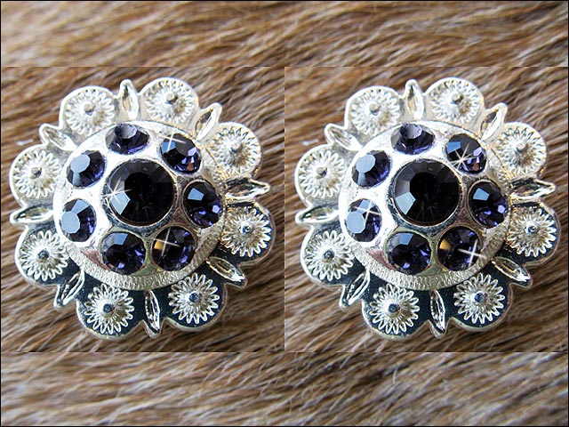 HILASON Western Screw Back Concho Purple Berry Crystals Cowgirl 1 Inch Iris Color | Bridle Conchos Slotted