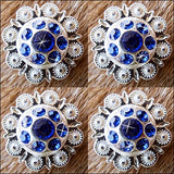 Western Screw Back Conchosapphire Berry Crystals Headstall Cowgirl 1In