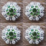 Western Screw Back Concho Green Berry Crystals Headstall Cowgirl 1 In