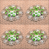 Hilason Olivine Crystal Rhinestone Bling Berry Concho Saddle Tack Cowgirl