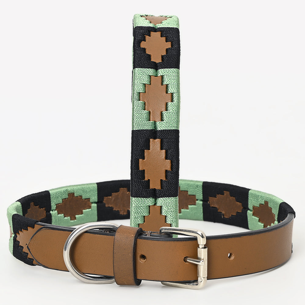 BAR H EQUINE Western Genuine Leather Dog Collar Embroidered Black & Light Green
