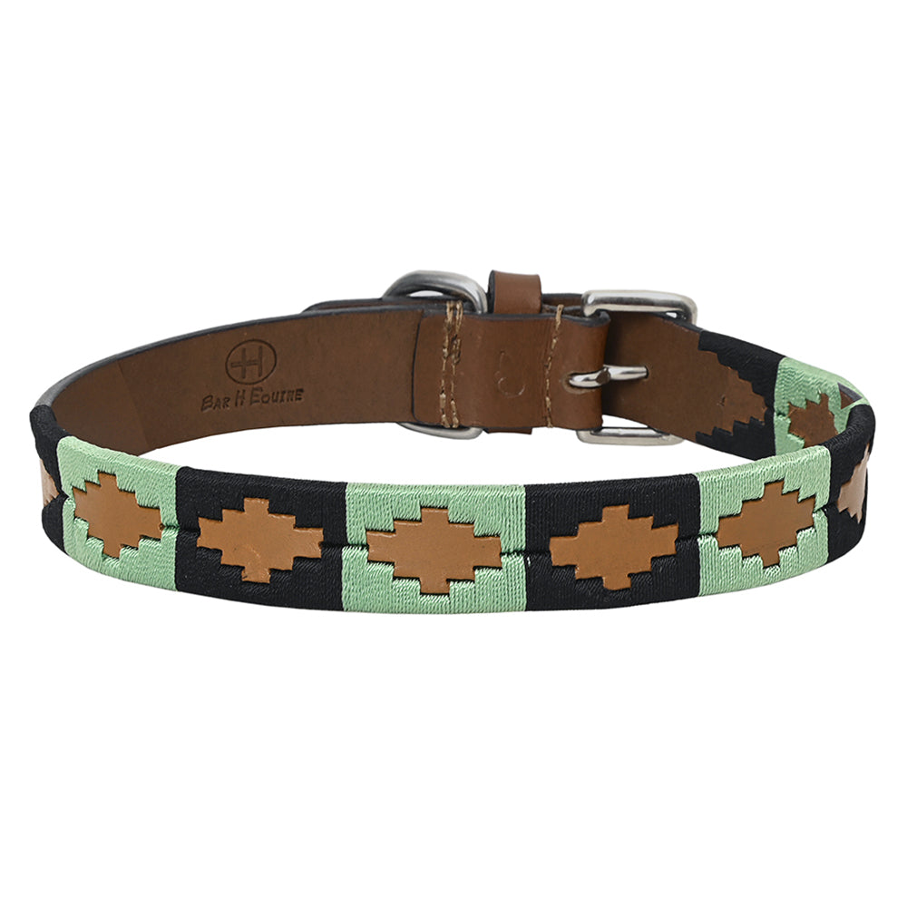 BAR H EQUINE Western Genuine Leather Dog Collar Embroidered Black & Light Green