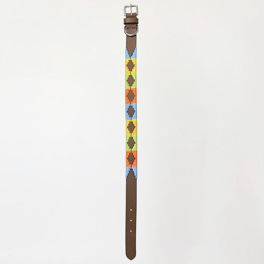 BAR H EQUINE Western Genuine Leather Dog Collar Embroidered