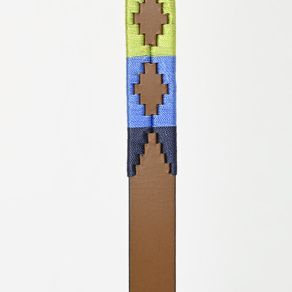 BAR H EQUINE Western Genuine Leather Dog Collar Embroidered