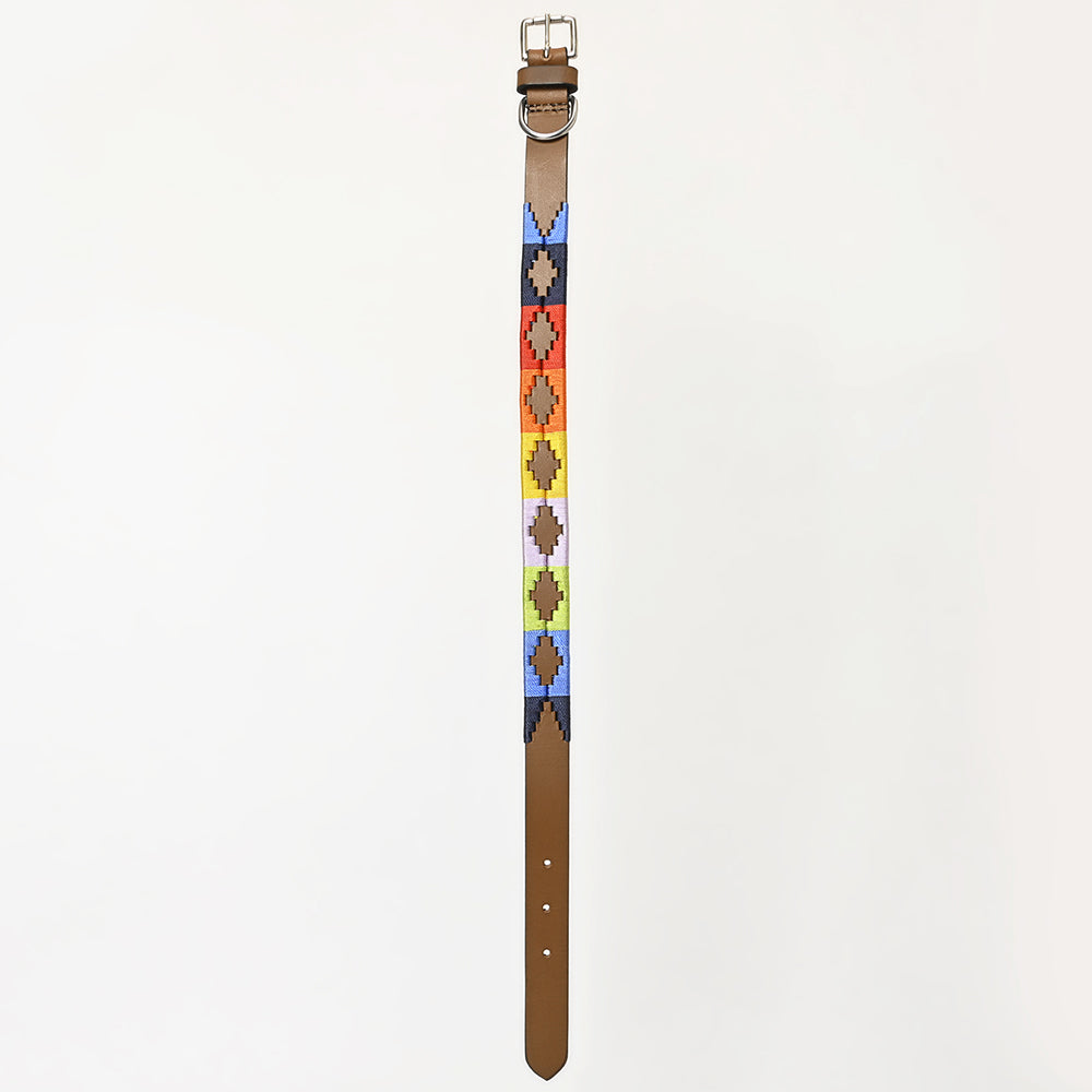 BAR H EQUINE Western Genuine Leather Dog Collar Embroidered