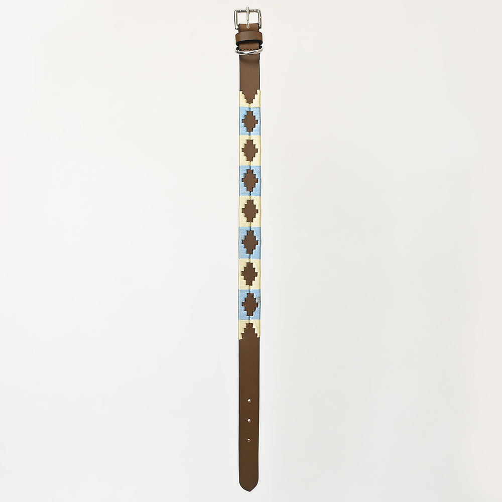 BAR H EQUINE Western Genuine Leather Dog Collar Embroidered Beige & Light Blue
