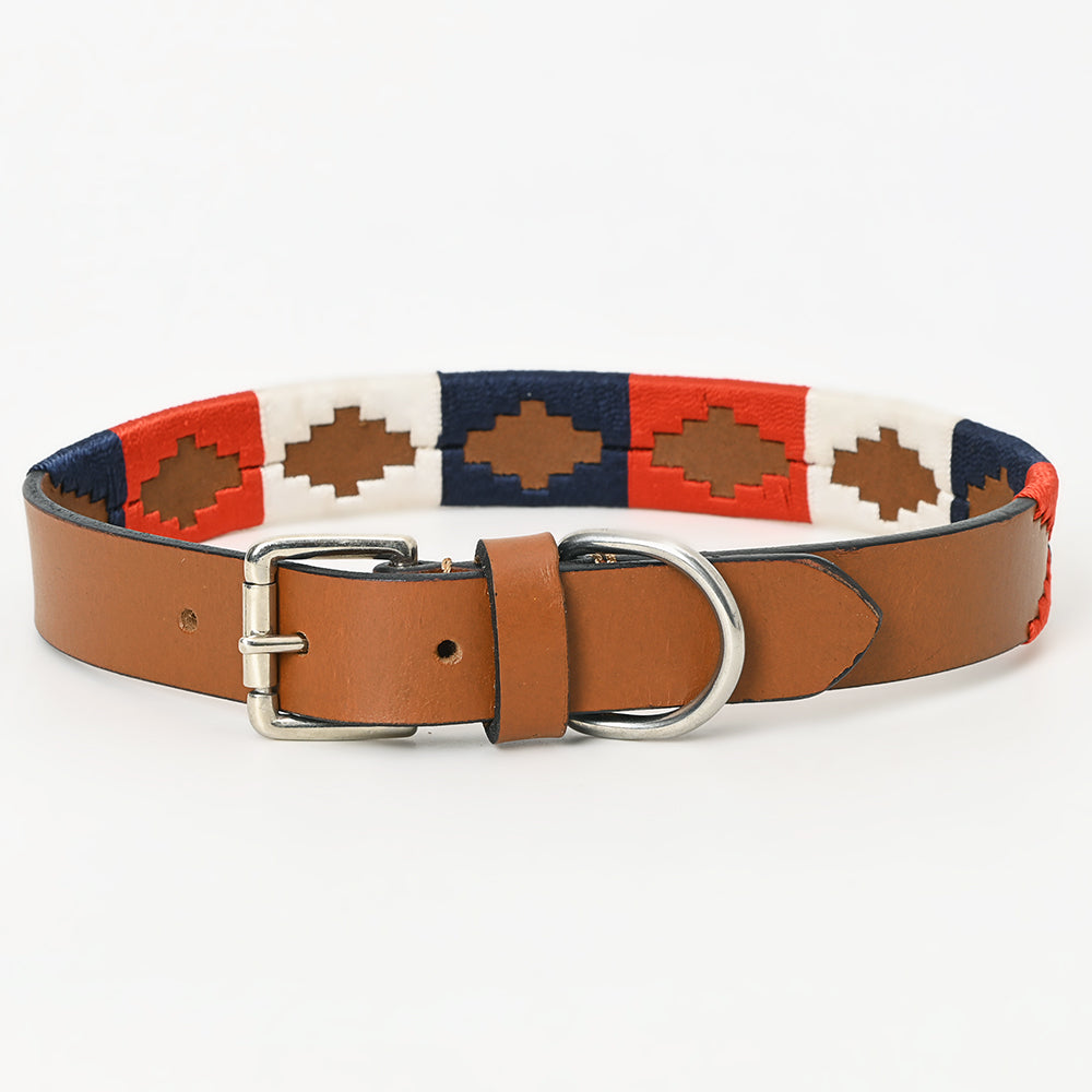 BAR H EQUINE Western Genuine Leather Dog Collar Embroidered Blue Red & White