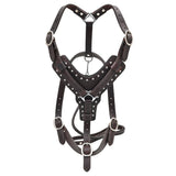 Large Leather Dog Harness Brown Genuine With Leash Hilason