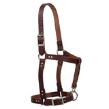 Weaver Leather Western Horse Riveted Genuine Leather Halter Brown