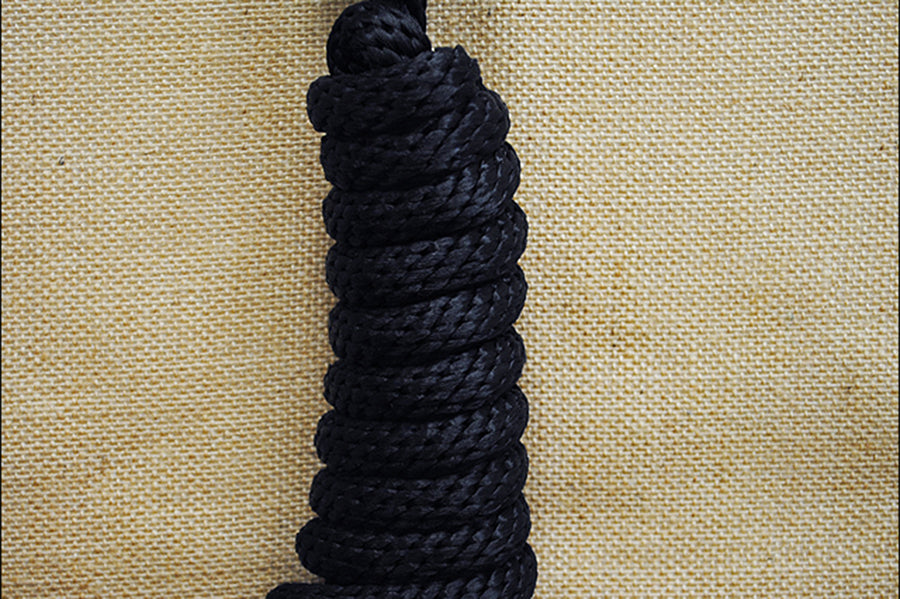 Professional Choice Western Horse tack supplies Nylon Halter Rope/10Ft Lead