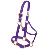 Large Weaver Horse Halter Nylon Heat Sealed Buckle Chin Throat Purple