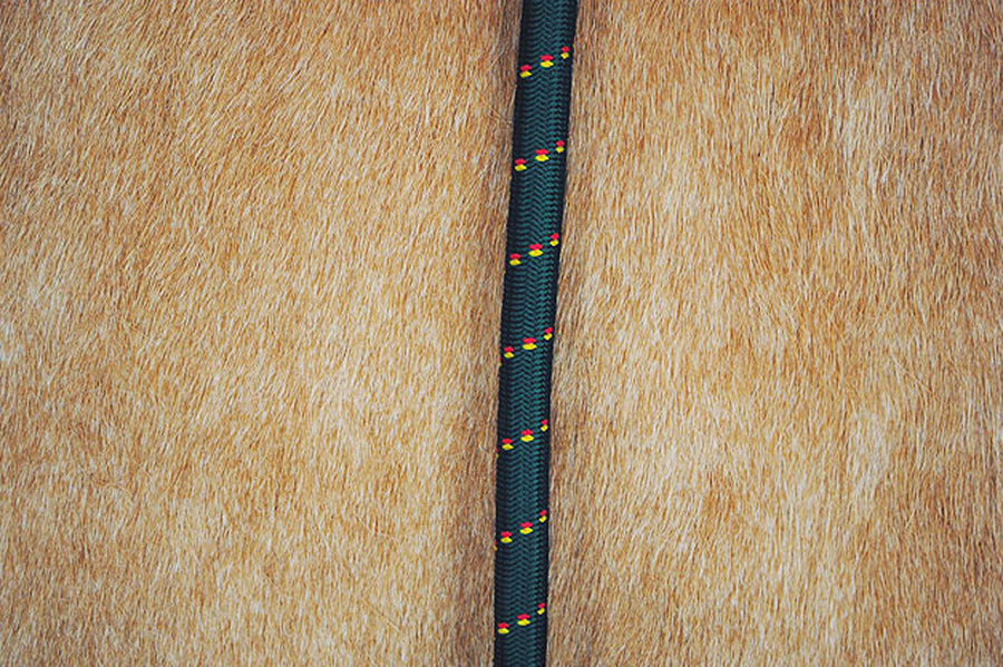 HILASON 30" Horse Bungee Trailer Tie with Nickel Plated Buffalo Snap Heavy Duty Elastic Horse Tie Lead Dark Green