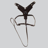 Sml Hilason Western Padded Dog Harness Genuine Leather Stainless Steel Black