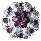 1 Amethyst Crystal Berry Headstall Saddle Tack Bling Cowgirl Hilason