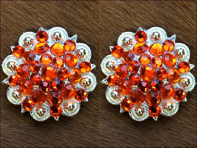 HILASON Western Berry Conchos Glass Rhinestones Bling Tack Cowgirl Capri Red Color | Bridle Slotted