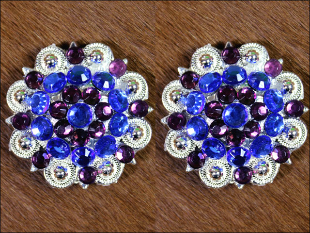 HILASON Western Berry Conchos Glass Rhinestones Bling Tack Cowgirl Blue-Purple Color | Bridle Slotted
