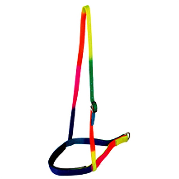Hilason Rainbow 1 Inch 2 Ply Nylon Horse Noseband Western Tack - Hilason