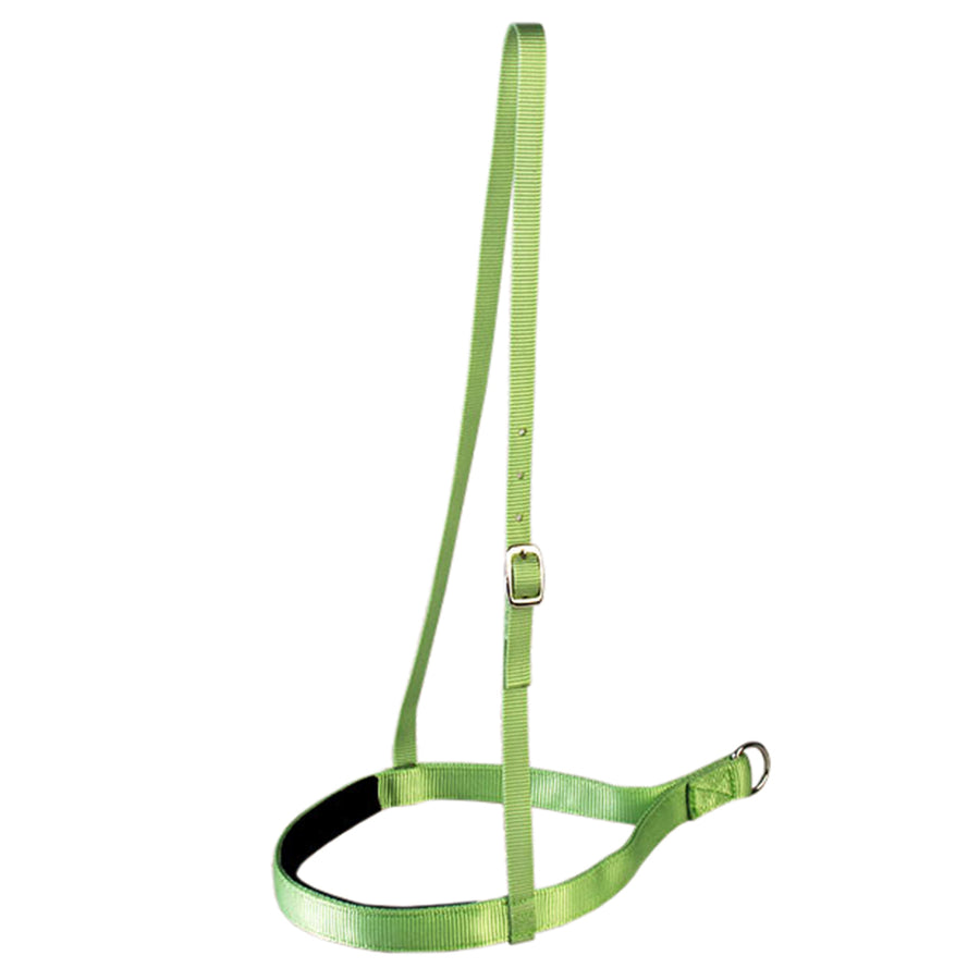 New Lime Hilason Western Tack 1 Inch 2 Ply Nylon Horse Noseband - Uhorse
