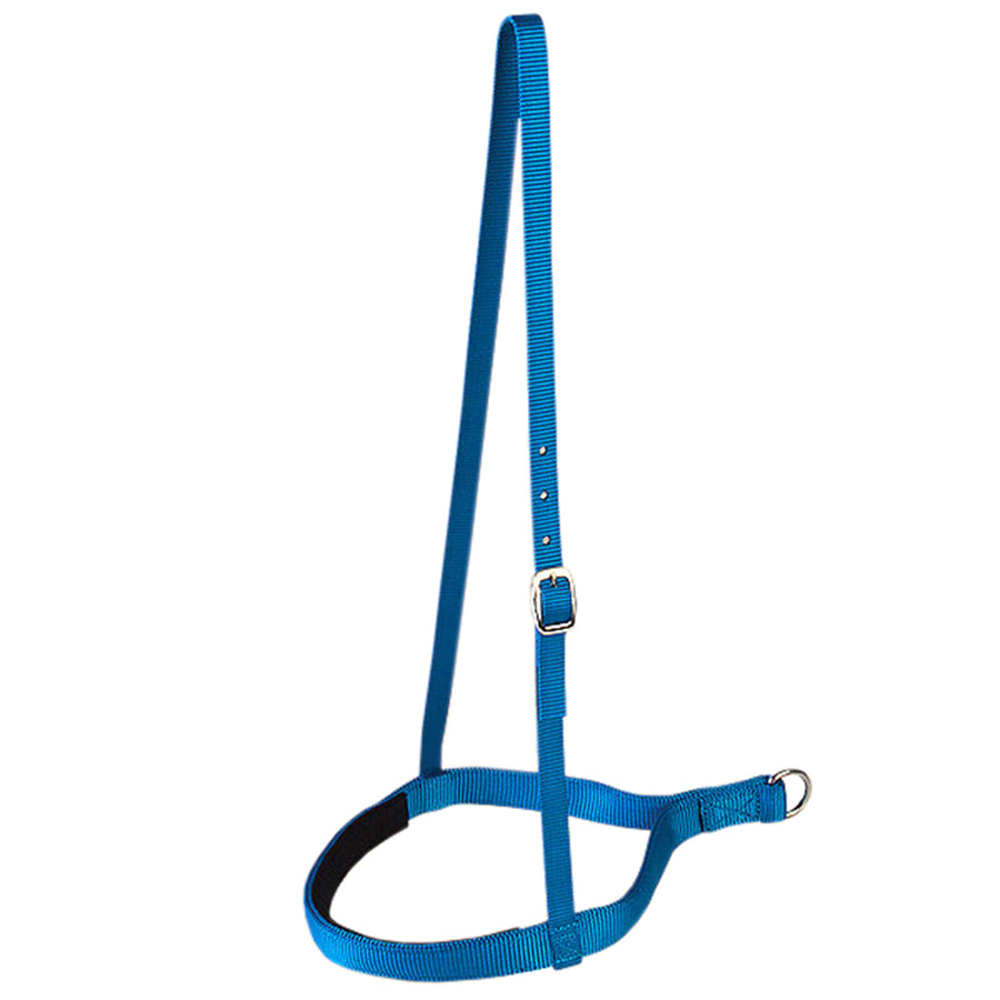 New Blue Hilason Western Tack 1 Inch 2 Ply Nylon Horse Noseband - Uhorse
