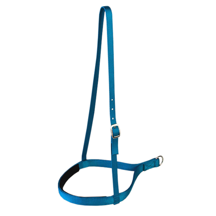 New Turquoise Hilason Western Tack 1 Inch 2 Ply Nylon Horse Noseband - Uhorse
