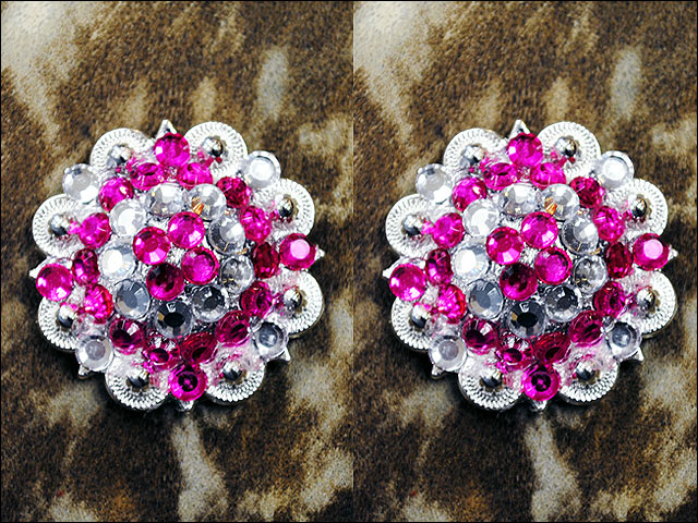 HILASON Western Style Crystal Silver Berry Rhinestone Headstall Saddle Breast Collars Concho Pink | Bling
