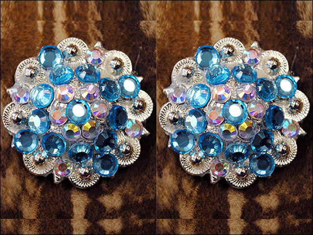 HILASON Western Screw Back Concho Turquoise Ab Crystal Saddle and stone Color | Bridle Conchos Slotted