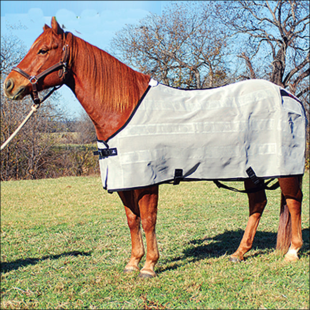 White canvas horse turnout blanket with black straps - Uhorse
