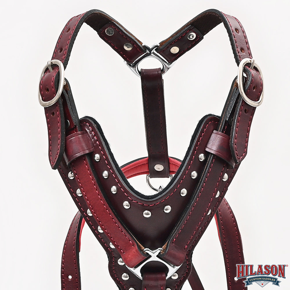 Large Leather Dog Harness Mahogany Genuine With Matching Leash Hilason