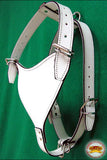 Medium Leather Dog Harness White Genuine With Leash Hilason