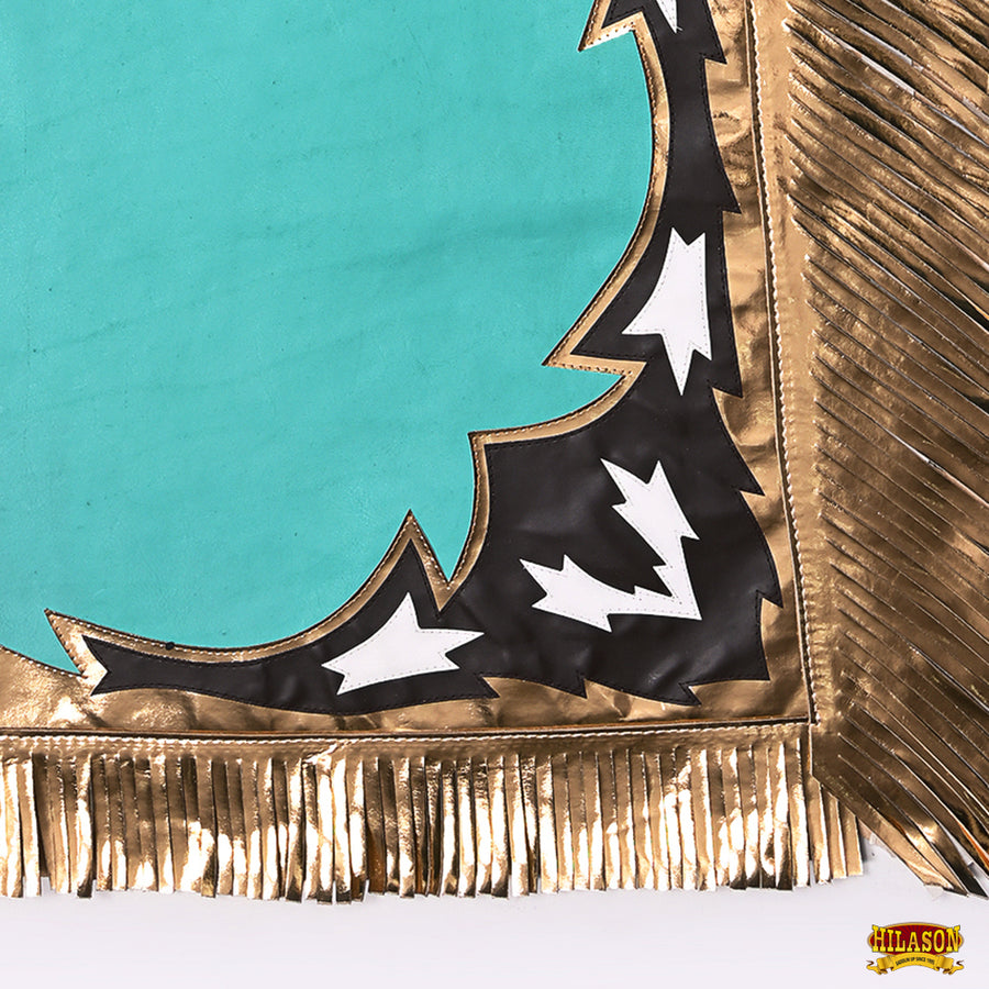 HILASON Pro Rodeo Bull Riding Chaps Genuine Leather Turquoise | for Men and Women Western Unisex