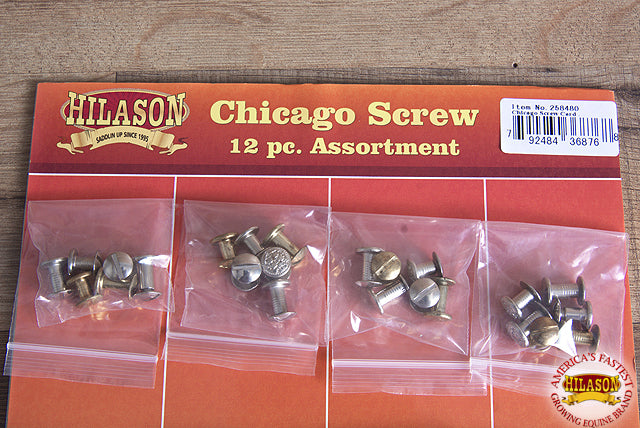 HILASON 12-Piece Assorted Chicago Screw Set | Essential Tack Repair Kit